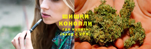 дживик Абаза