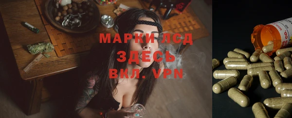 шишки Алексин