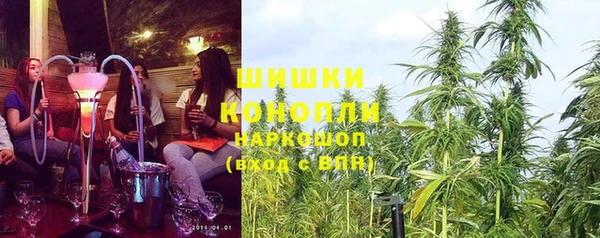 дживик Абаза