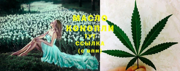 дживик Абаза