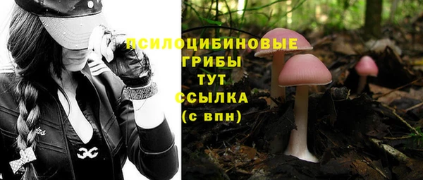 дживик Абаза