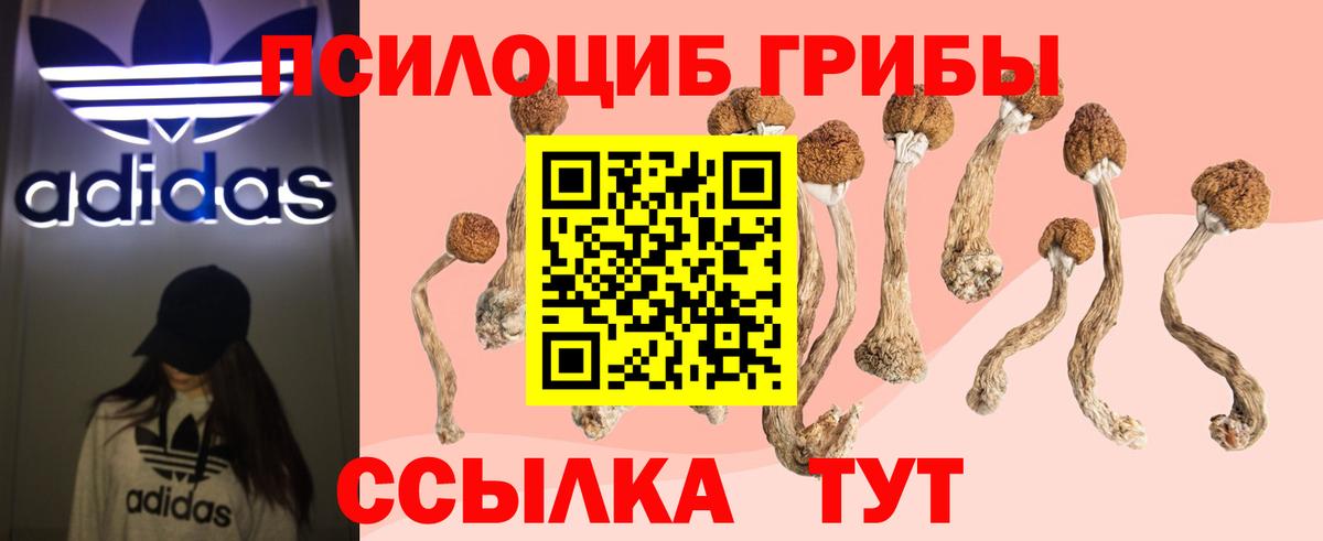 Галлюциногенные грибы Psilocybine cubensis  Вход с VPN  Галлюциногенные грибы мухоморы  Кострома 